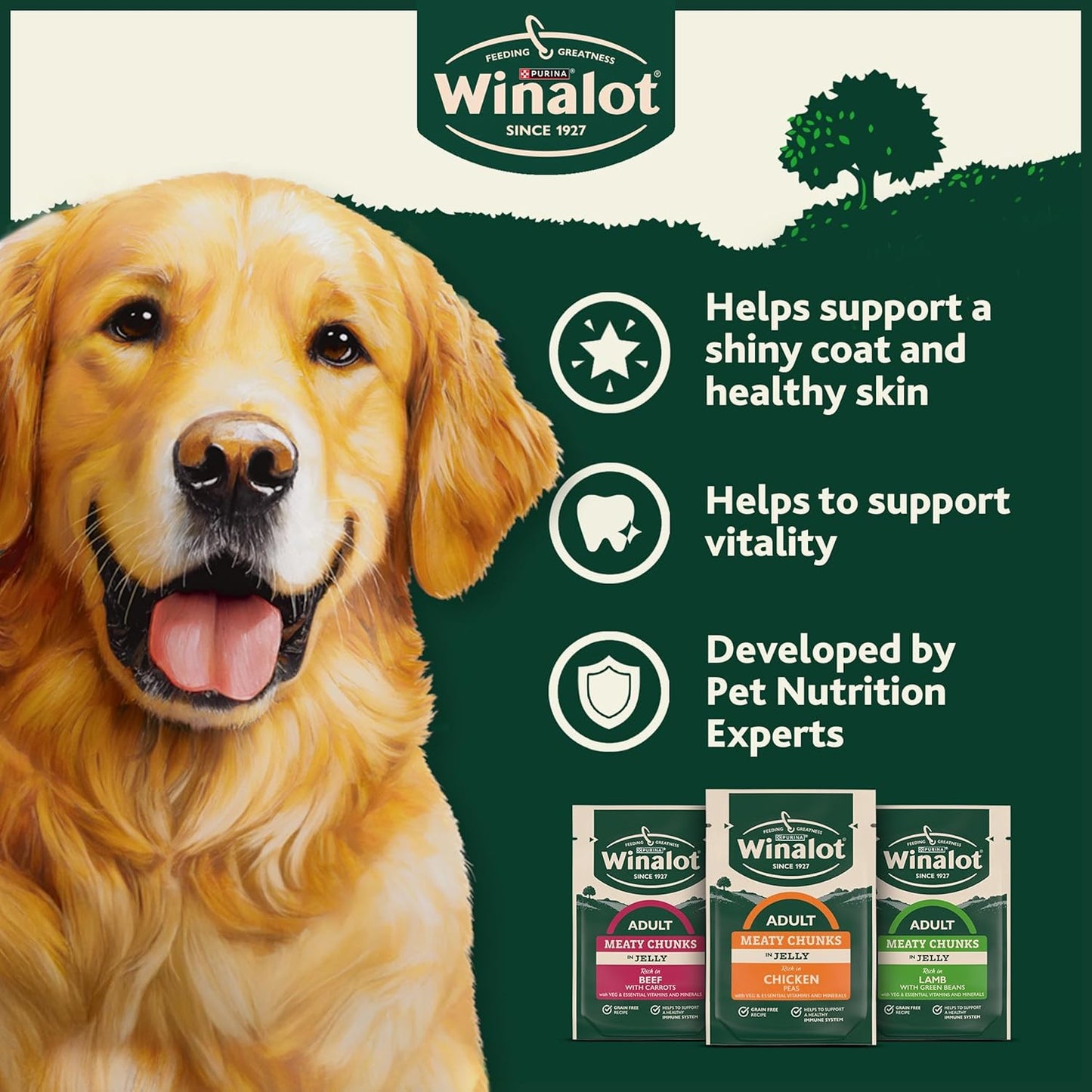 WINALOT Meaty Chunks Adult Wet Dog Food